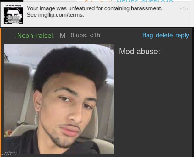 Wow, literal mod abuse moment | image tagged in mod abuse | made w/ Imgflip meme maker