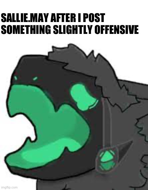 Poor sensitive guy, hope he’s doing okay | SALLIE.MAY AFTER I POST SOMETHING SLIGHTLY OFFENSIVE | made w/ Imgflip meme maker