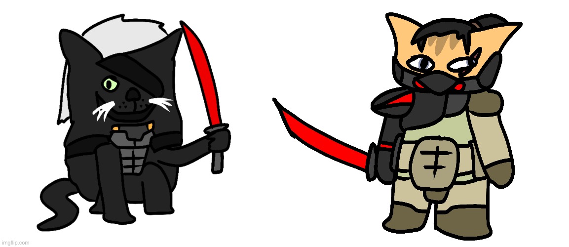 image tagged in raidencat,catstream sam | made w/ Imgflip meme maker