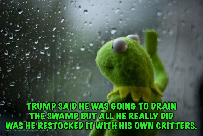 And they're still there. | TRUMP SAID HE WAS GOING TO DRAIN THE SWAMP, BUT ALL HE REALLY DID WAS HE RESTOCKED IT WITH HIS OWN CRITTERS. | image tagged in kermit window | made w/ Imgflip meme maker