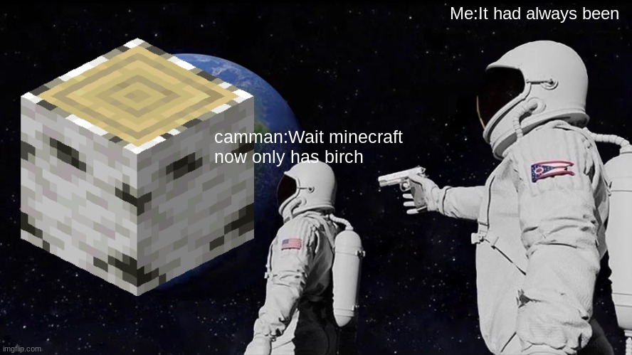 Minecraft new update | Me:It had always been; camman:Wait minecraft now only has birch | image tagged in memes,always has been | made w/ Imgflip meme maker