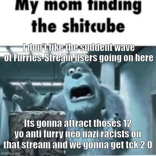 AHHHHHHHHHHH | I don't like the suddent wave of Furries-Stream users going on here; Its gonna attract thoses 12 yo anti furry neo nazi racists on that stream and we gonna get tck 2.0 | image tagged in my mom finding the shitcube | made w/ Imgflip meme maker