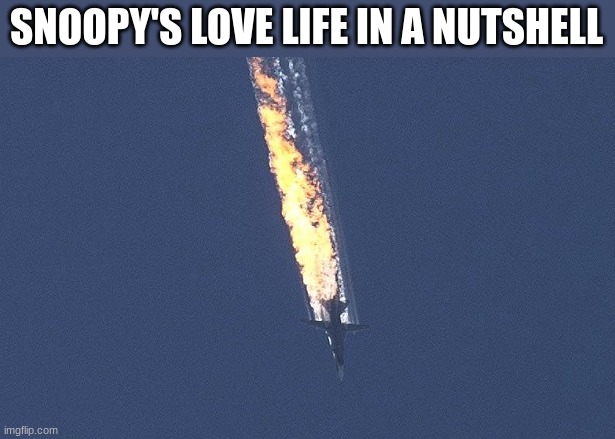 Russian War Plane | SNOOPY'S LOVE LIFE IN A NUTSHELL | image tagged in russian war plane | made w/ Imgflip meme maker
