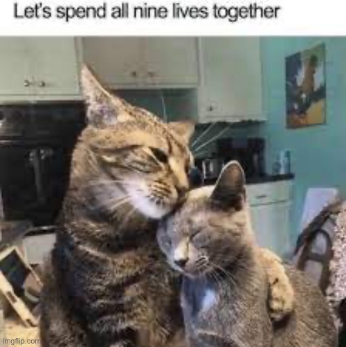 @gjyg15_oh | made w/ Imgflip meme maker