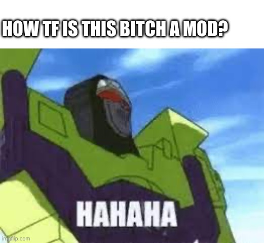 HOW TF IS THIS BITCH A MOD? | made w/ Imgflip meme maker