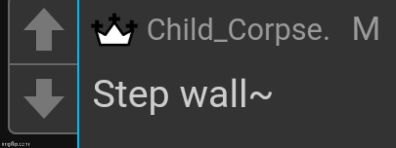 Step wall | image tagged in step wall | made w/ Imgflip meme maker