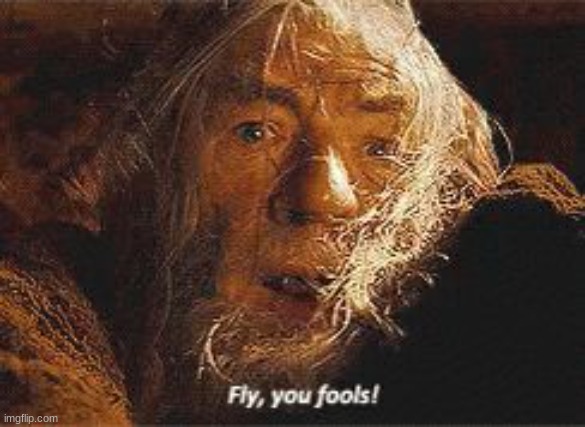 Fly you fools | image tagged in fly you fools | made w/ Imgflip meme maker