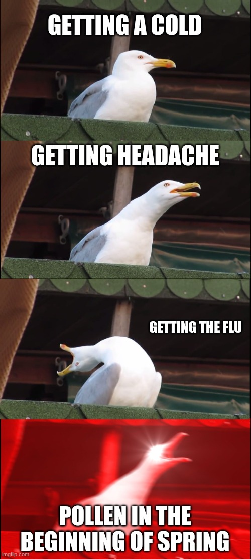pollen holy cow | GETTING A COLD; GETTING HEADACHE; GETTING THE FLU; POLLEN IN THE BEGINNING OF SPRING | image tagged in memes,inhaling seagull,funny,upvote,halloween | made w/ Imgflip meme maker