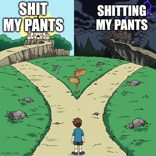 two castles | SHIT MY PANTS; SHITTING MY PANTS | image tagged in two castles | made w/ Imgflip meme maker