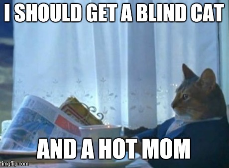 I Should Buy A Boat Cat | I SHOULD GET A BLIND CAT AND A HOT MOM | image tagged in memes,i should buy a boat cat | made w/ Imgflip meme maker