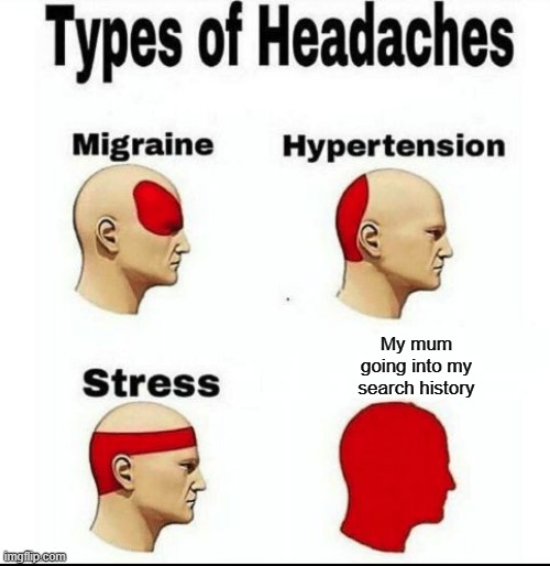 Types of Headaches meme | My mum going into my search history | image tagged in types of headaches meme | made w/ Imgflip meme maker