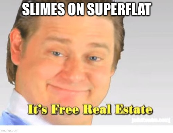 It's Free Real Estate | SLIMES ON SUPERFLAT | image tagged in it's free real estate | made w/ Imgflip meme maker