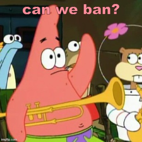 No Patrick Meme | can we ban? | image tagged in memes,no patrick | made w/ Imgflip meme maker