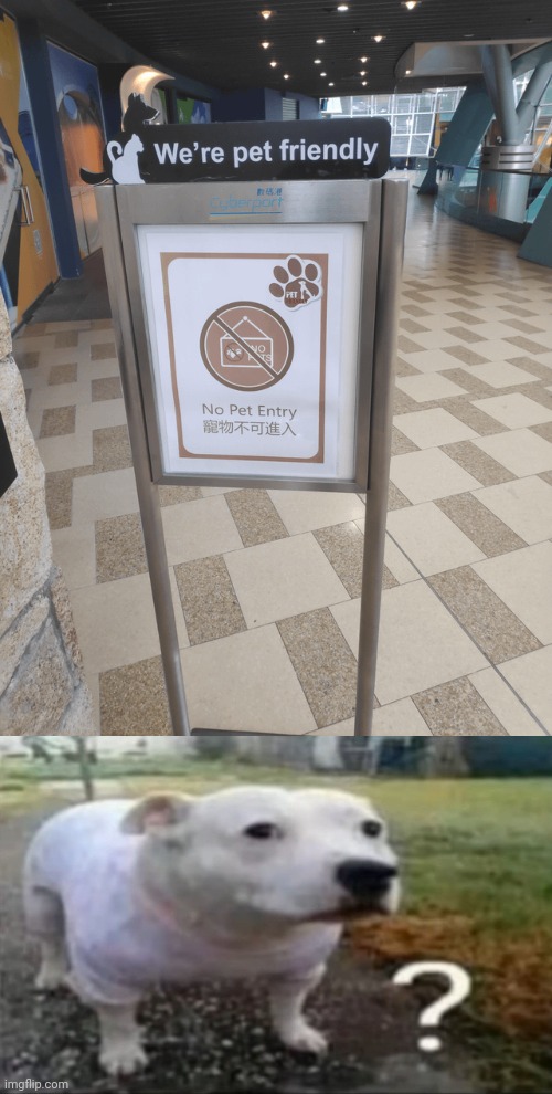 "We're pet friendly. No pet entry" | image tagged in confused dog,reposts,repost,memes,pet,sign | made w/ Imgflip meme maker