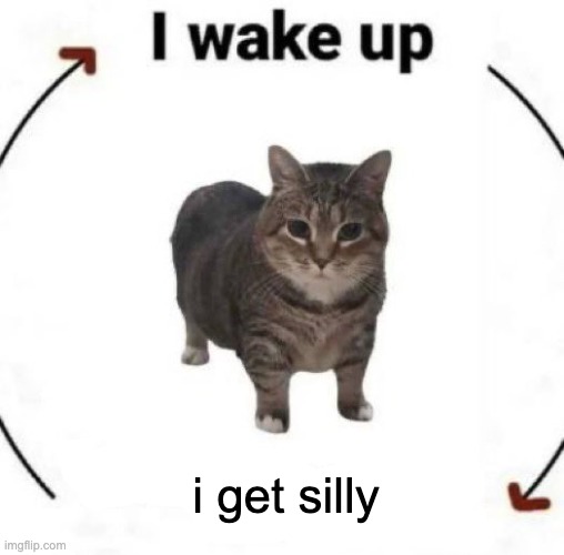 real !! | i get silly | image tagged in i wake up cat | made w/ Imgflip meme maker