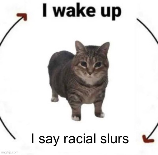 i wake up cat | I say racial slurs | image tagged in i wake up cat | made w/ Imgflip meme maker