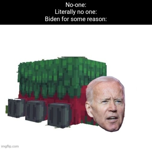 Biden Sniffer | image tagged in politics,political meme,minecraft | made w/ Imgflip meme maker