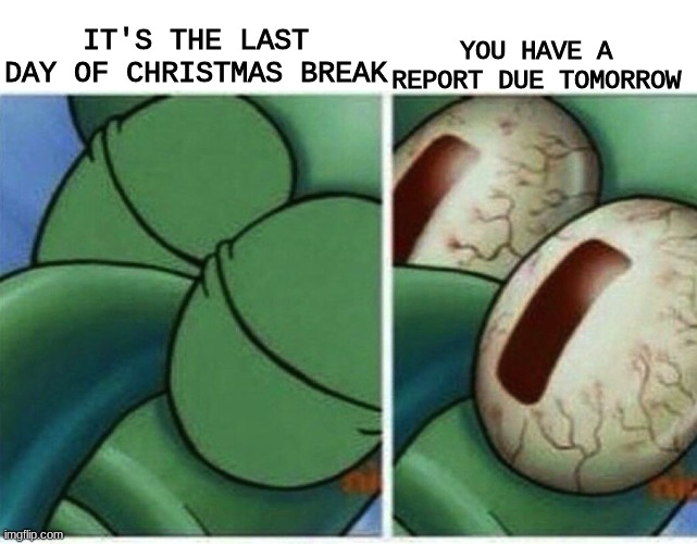 im gonna die | YOU HAVE A REPORT DUE TOMORROW; IT'S THE LAST DAY OF CHRISTMAS BREAK | image tagged in squidward,school sucks,meme | made w/ Imgflip meme maker