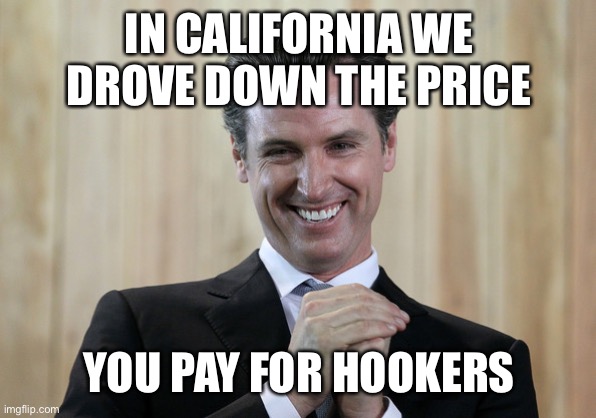 Scheming Gavin Newsom  | IN CALIFORNIA WE DROVE DOWN THE PRICE YOU PAY FOR HOOKERS | image tagged in scheming gavin newsom | made w/ Imgflip meme maker