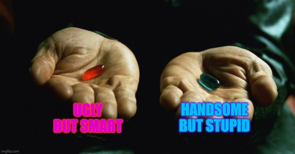 Red pill blue pill | UGLY BUT SMART; HANDSOME BUT STUPID | image tagged in red pill blue pill | made w/ Imgflip meme maker