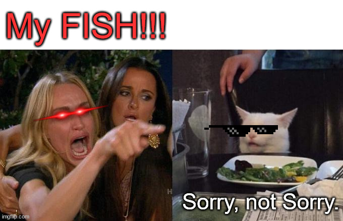 Woman Yelling At Cat Meme | My FISH!!! Sorry, not Sorry. | image tagged in memes,woman yelling at cat | made w/ Imgflip meme maker
