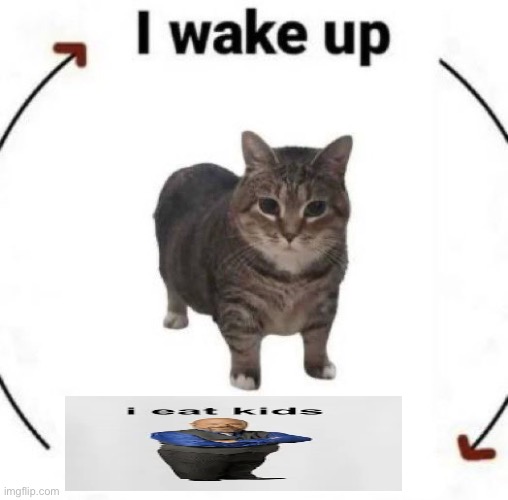 i wake up cat | image tagged in i wake up cat | made w/ Imgflip meme maker