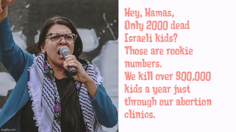 Reason for Outrage | image tagged in real terrorism,tlaib,palestinian | made w/ Imgflip meme maker
