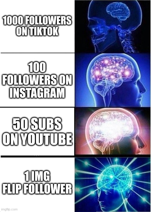 Expanding Brain | 1000 FOLLOWERS ON TIKTOK; 100 FOLLOWERS ON INSTAGRAM; 50 SUBS ON YOUTUBE; 1 IMG FLIP FOLLOWER | image tagged in memes,expanding brain | made w/ Imgflip meme maker