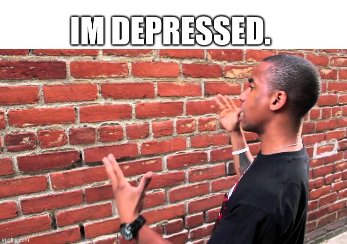 damn. no one cares but im losing my sanity. I no longer am that nice guy I used to be | IM DEPRESSED. | image tagged in talking to wall | made w/ Imgflip meme maker