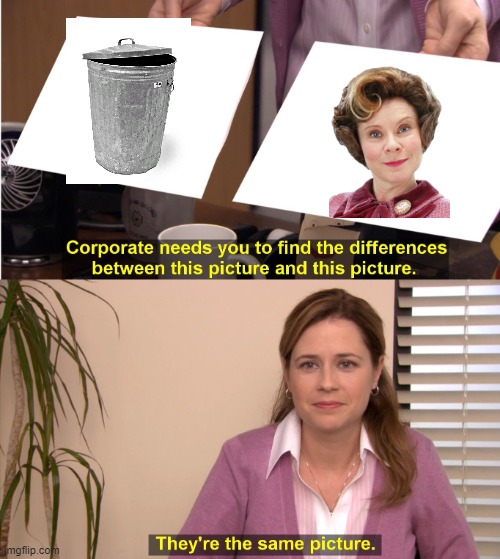 She's TRASH!!!! | image tagged in memes,they're the same picture | made w/ Imgflip meme maker