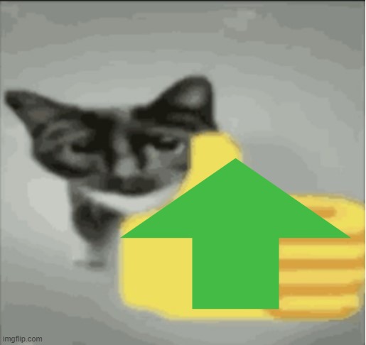 Kitten like | image tagged in kitten like | made w/ Imgflip meme maker