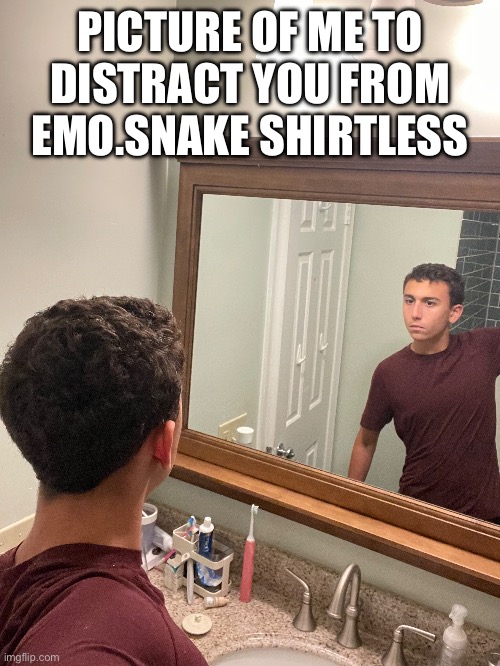 PICTURE OF ME TO DISTRACT YOU FROM EMO.SNAKE SHIRTLESS | made w/ Imgflip meme maker