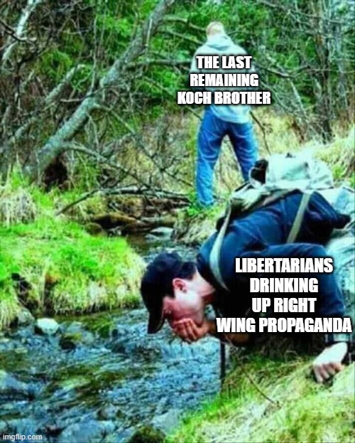 libertarians | THE LAST REMAINING KOCH BROTHER; LIBERTARIANS DRINKING UP RIGHT WING PROPAGANDA | image tagged in right wing | made w/ Imgflip meme maker