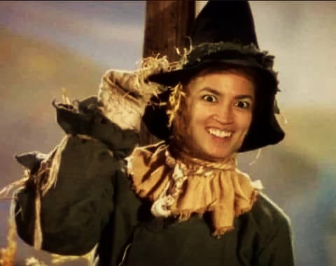 High Quality aoc is halloween scarecrow Blank Meme Template