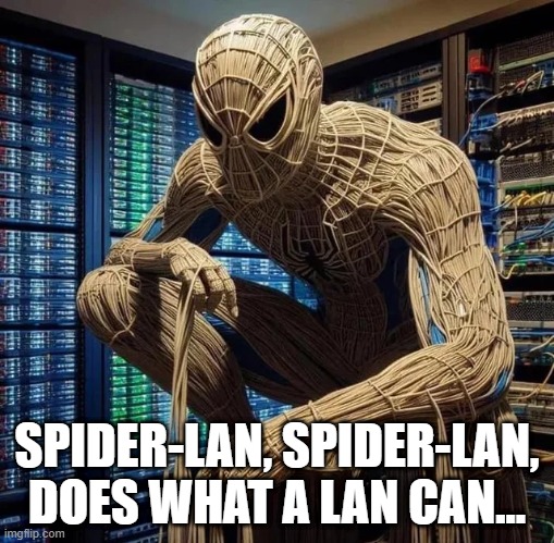 Spider-Lan | SPIDER-LAN, SPIDER-LAN, DOES WHAT A LAN CAN... | image tagged in spiderman | made w/ Imgflip meme maker