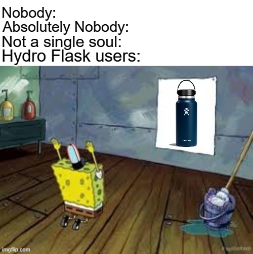Dude, it's just a water bottle | Nobody:; Absolutely Nobody:; Not a single soul:; Hydro Flask users: | image tagged in praying spongebob,water bottle,memes,funny memes,savage memes | made w/ Imgflip meme maker