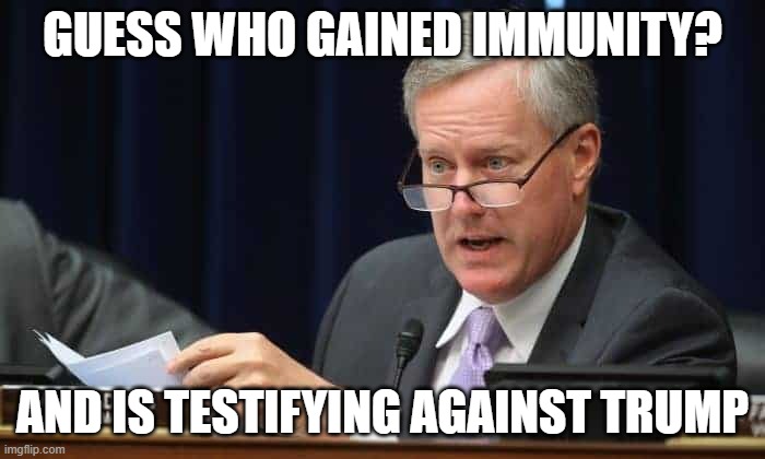 mark meadows testifying | GUESS WHO GAINED IMMUNITY? AND IS TESTIFYING AGAINST TRUMP | image tagged in mark meadows | made w/ Imgflip meme maker