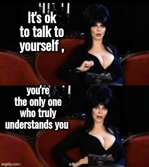 Elvira's joke | It's ok to talk to yourself , you're the only one who truly understands you | image tagged in elvira's joke | made w/ Imgflip meme maker