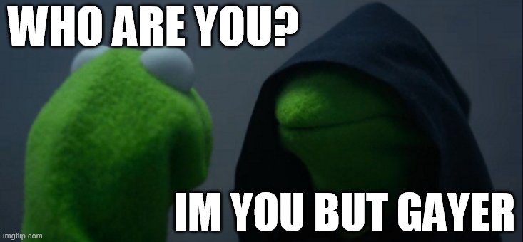 Evil Kermit Meme | WHO ARE YOU? IM YOU BUT GAYER | image tagged in memes,evil kermit | made w/ Imgflip meme maker