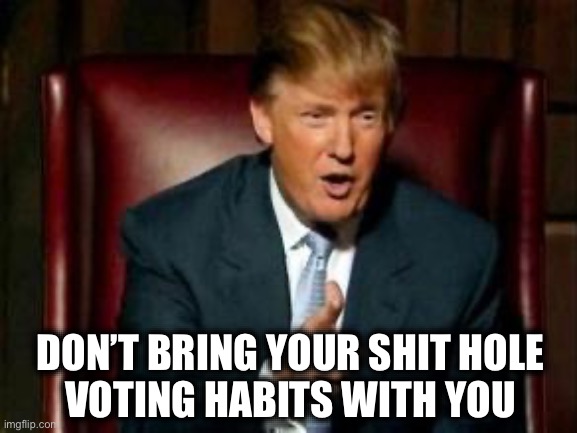 Donald Trump | DON’T BRING YOUR SHIT HOLE 
VOTING HABITS WITH YOU | image tagged in donald trump | made w/ Imgflip meme maker