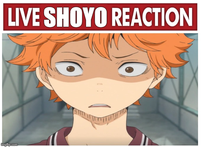 Live Shoyo Reaction | SHOYO | image tagged in live reaction | made w/ Imgflip meme maker