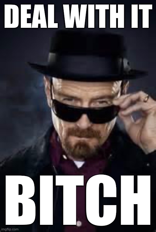 heisenberg deal with it | DEAL WITH IT BITCH | image tagged in heisenberg deal with it | made w/ Imgflip meme maker