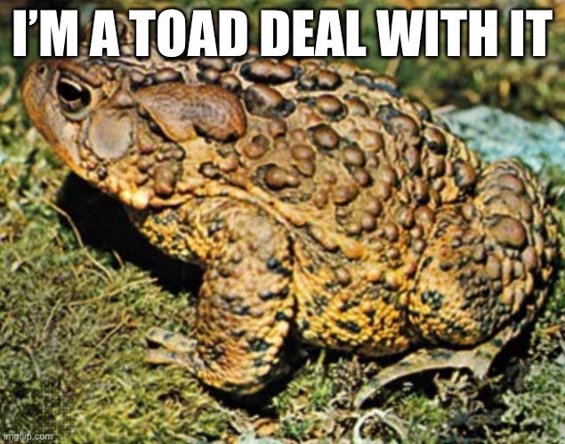 I’M A TOAD DEAL WITH IT | made w/ Imgflip meme maker