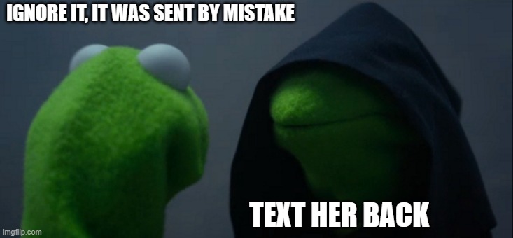 Evil Kermit Meme | IGNORE IT, IT WAS SENT BY MISTAKE TEXT HER BACK | image tagged in memes,evil kermit | made w/ Imgflip meme maker
