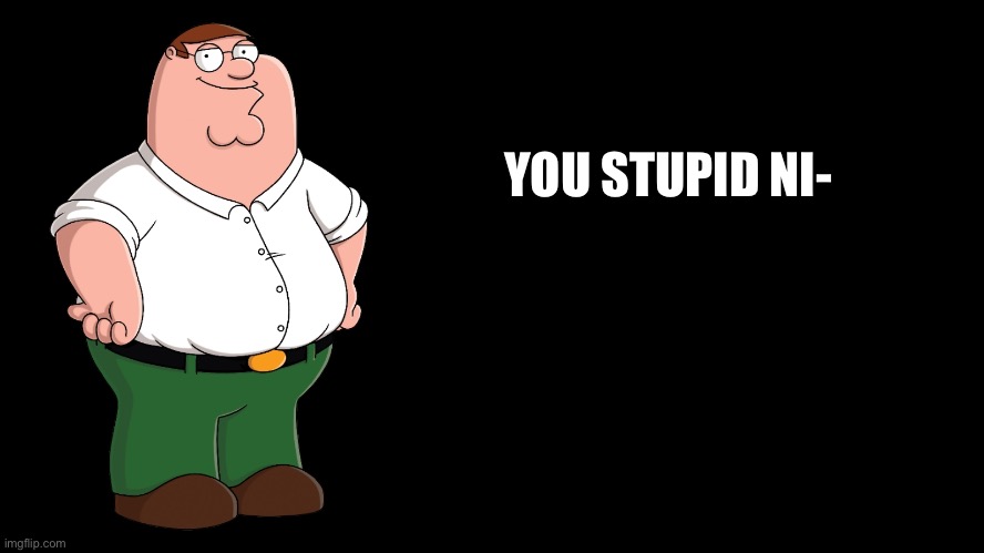 Peter Griffin explains | YOU STUPID NI- | image tagged in peter griffin explains | made w/ Imgflip meme maker