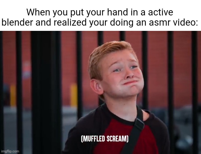 idek | When you put your hand in a active blender and realized your doing an asmr video: | image tagged in muffled scream | made w/ Imgflip meme maker