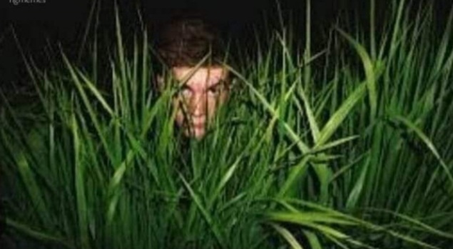 High Quality Guy in bushes Blank Meme Template