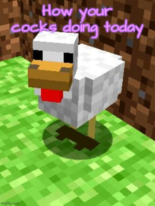 Minecraft Advice Chicken | How your cocks doing today | image tagged in minecraft advice chicken | made w/ Imgflip meme maker