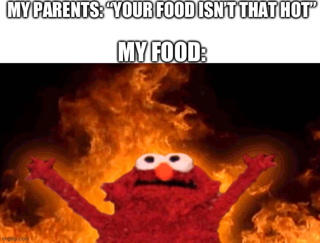 It’s so true | MY PARENTS: “YOUR FOOD ISN’T THAT HOT”; MY FOOD: | image tagged in elmo fire | made w/ Imgflip meme maker