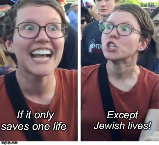 Derp | Except Jewish lives! If it only saves one life | image tagged in politics lol,memes,liberal hypocrisy | made w/ Imgflip meme maker